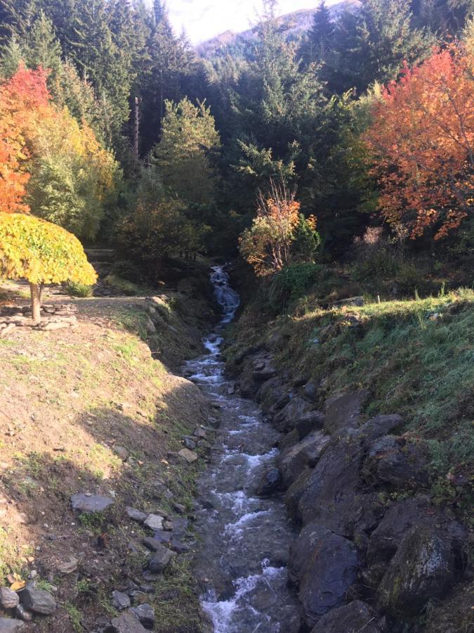Mountain Creek Vacation Hotell Queenstown Eksteriør bilde